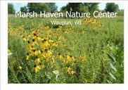 Marsh Haven Nature Center