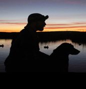 silhouette view of a man and a dog